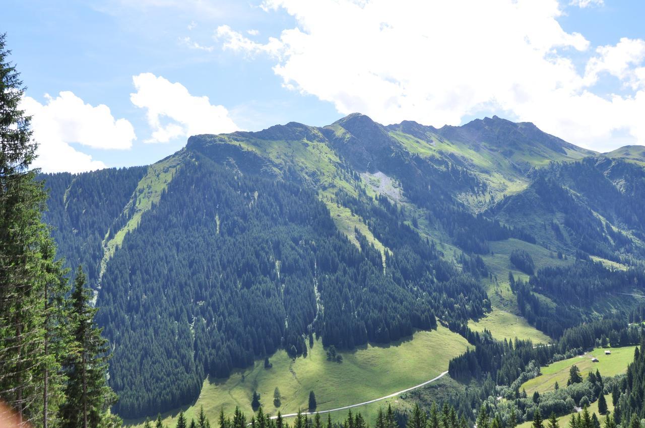 Almhuette Lengau Villa Saalbach-Hinterglemm Exterior photo